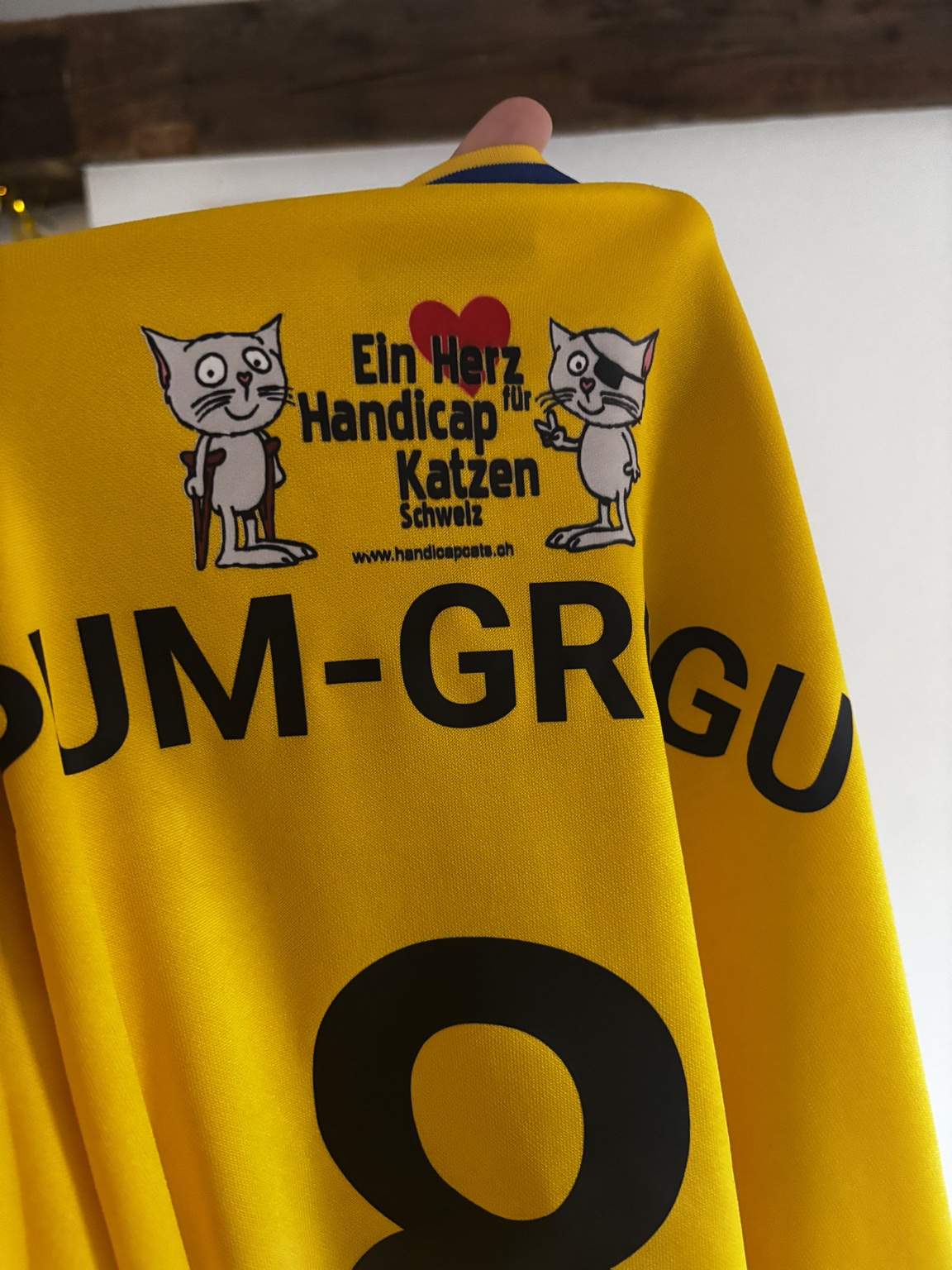 Ein Herz für Handicap-Katzen