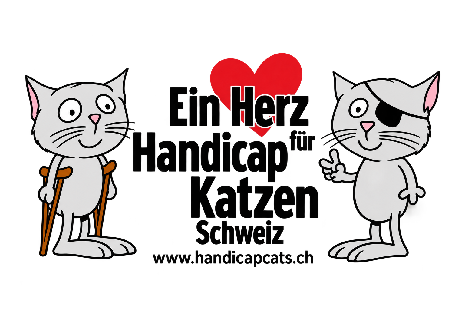 Ein Herz für Handicap-Katzen
